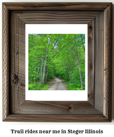 trail rides near me in Steger, Illinois